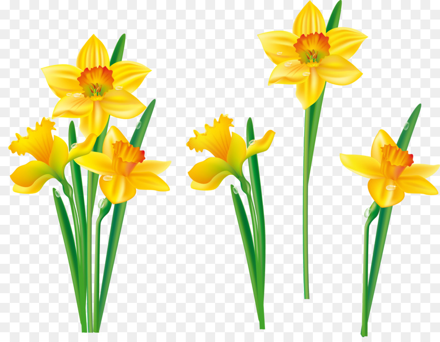 Floral for Photoshop — Yellow and white daffodils png download — Милые ...