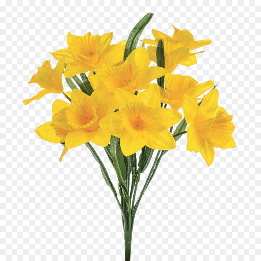 Daffodil Artificial flower Plant stem - creative daffodils png download - 1600*1600 - Free Transparent Daffodil png Download.