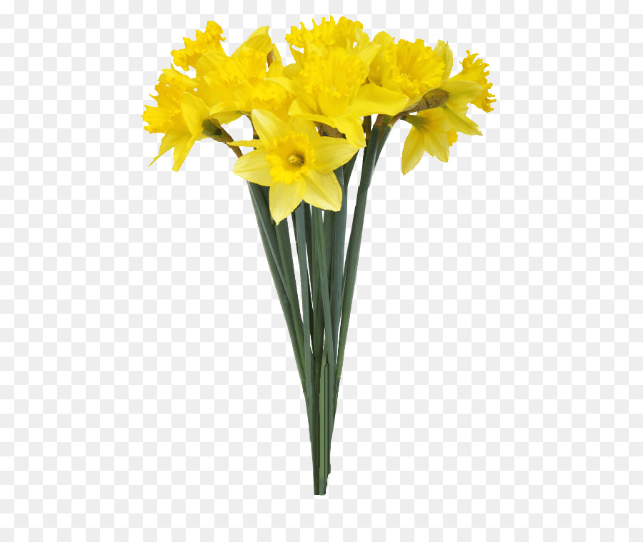 Vase Daffodil Flower Stock photography - daffodil png download - 620*743 - Free Transparent Vase png Download.
