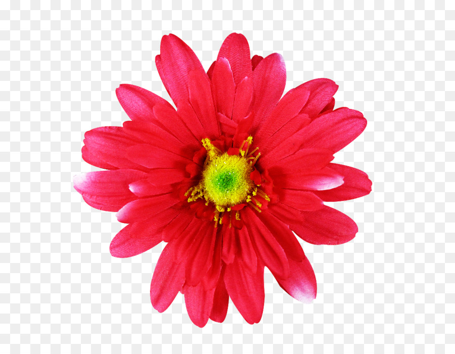 Common daisy Pink flowers Dahlia - flower png download - 700*700 - Free Transparent Common Daisy png Download.