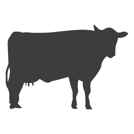 Dairy cattle Silhouette Ox Livestock - cow png download - 512*512 ...