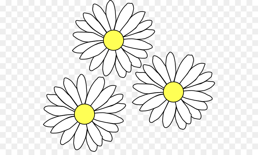 Common daisy Clip art - daisies png download - 600*529 - Free Transparent Common Daisy png Download.