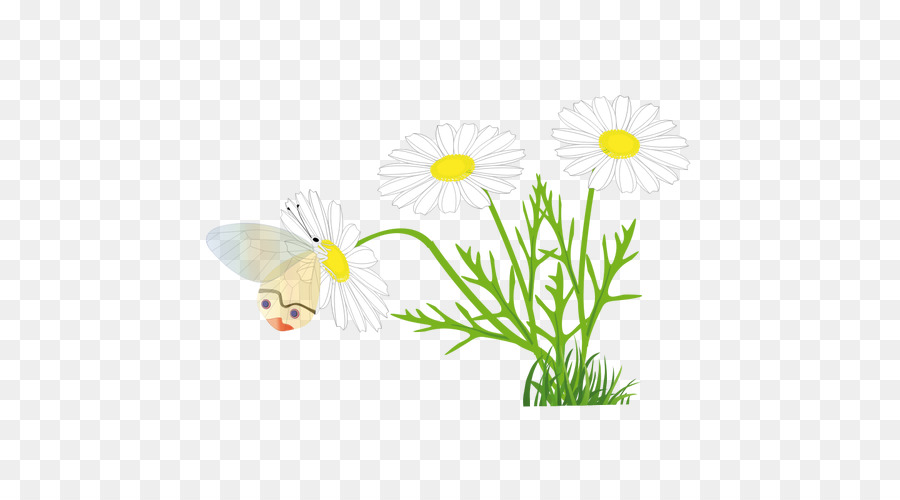 Butterfly Free content Clip art - Transparent Daisy Cliparts png download - 500*500 - Free Transparent Butterfly png Download.