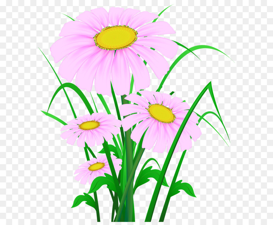 Flower Clip art - Transparent Pink Daisies PNG Clipart png download - 3295*3699 - Free Transparent Common Daisy png Download.