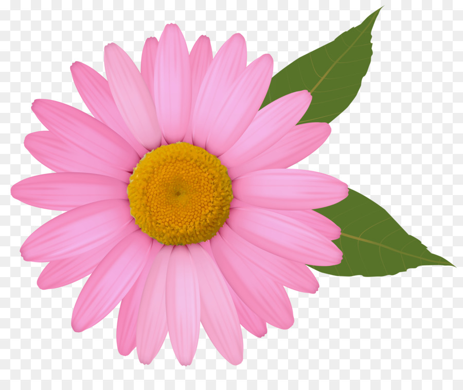 Common daisy Gerber format Yellow Clip art - Fun Daisy Cliparts png download - 6006*4941 - Free Transparent Common Daisy png Download.
