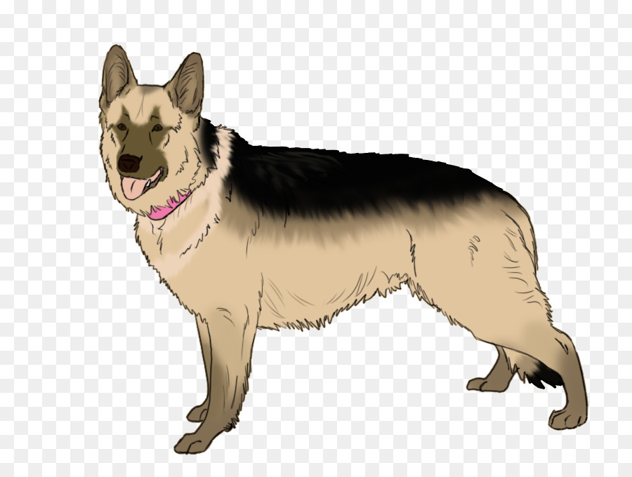 German Shepherd Kunming wolfdog Dog breed Dance Musical canine freestyle - others png download - 900*676 - Free Transparent German Shepherd png Download.