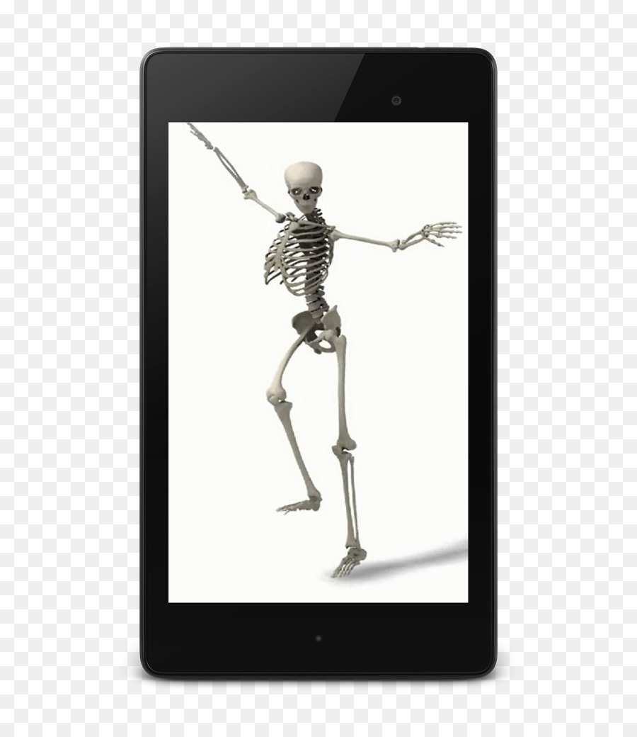 Skeleton Joint - Skeleton png download - 682*1024 - Free Transparent Skeleton png Download.