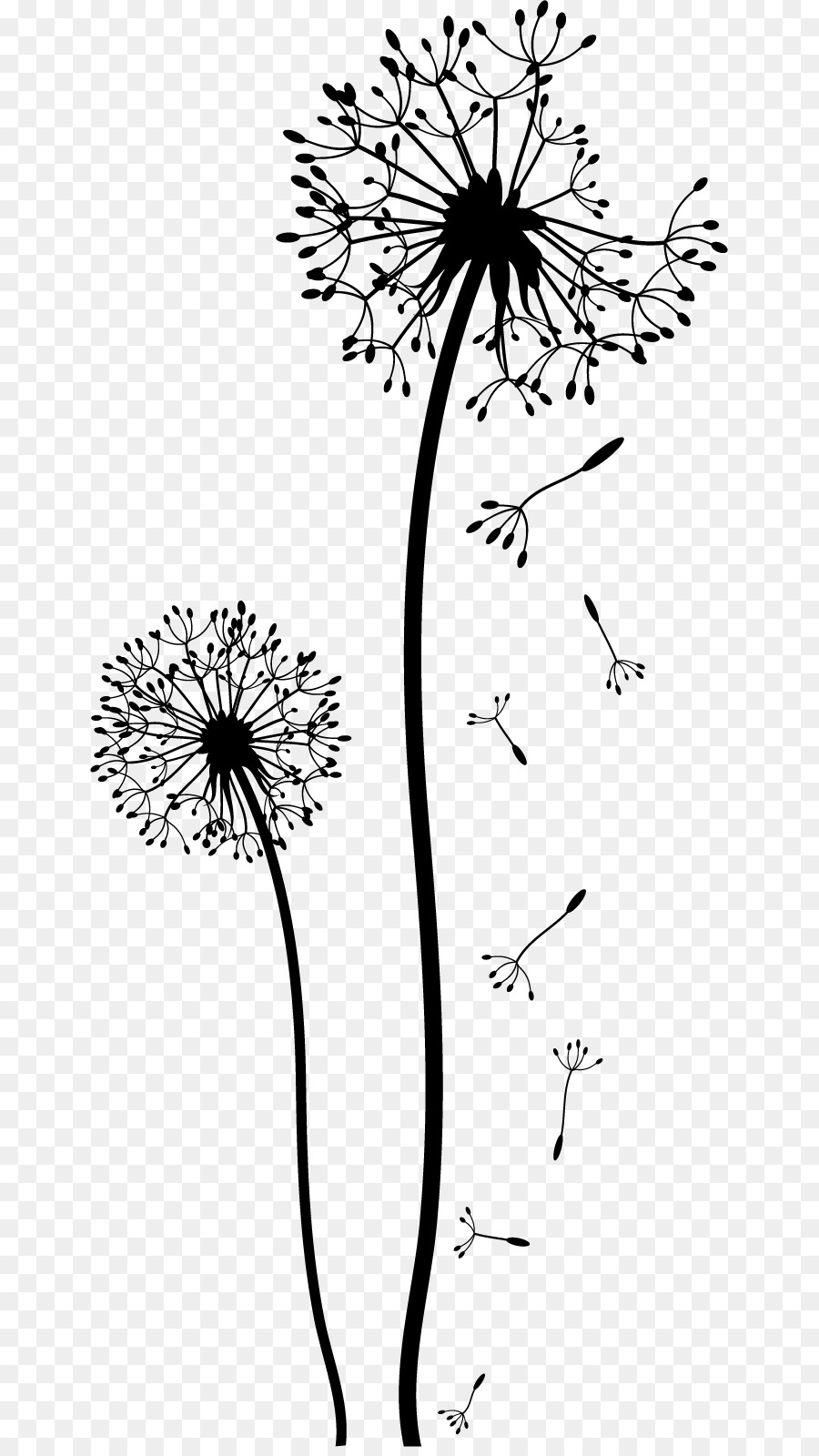 Dandelion Drawing Black and white Clip art - flower wall png download - 701*1590 - Free Transparent Dandelion png Download.