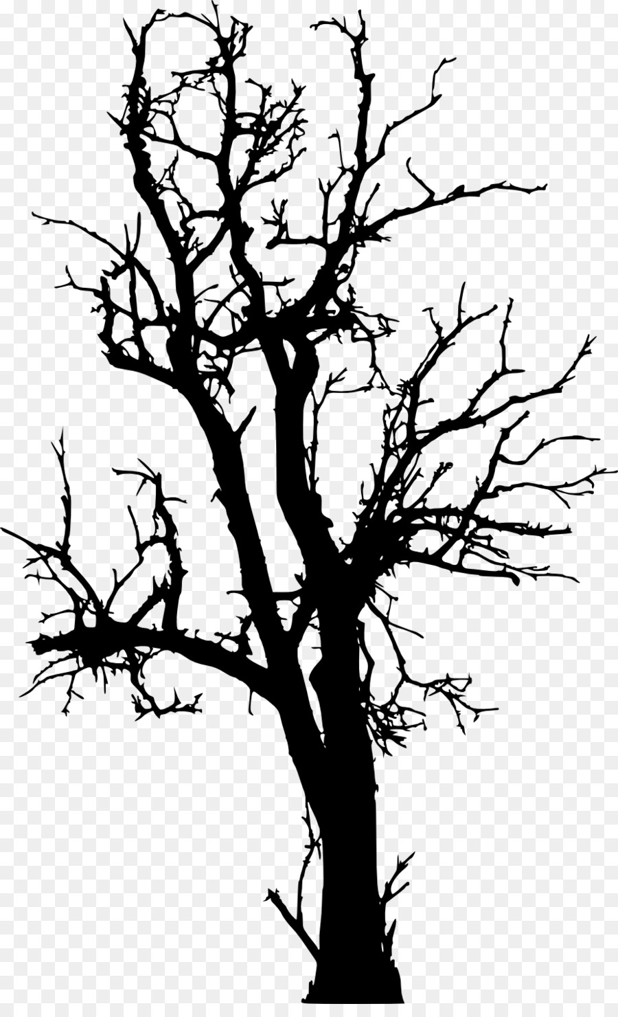 Tree Branch Woody plant Twig - dead tree png download - 924*1500 - Free Transparent Tree png Download.