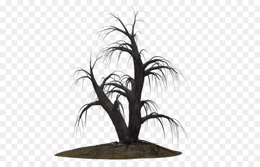 Drawing Tree DeviantArt - dead tree png download - 1024*639 - Free Transparent Drawing png Download.
