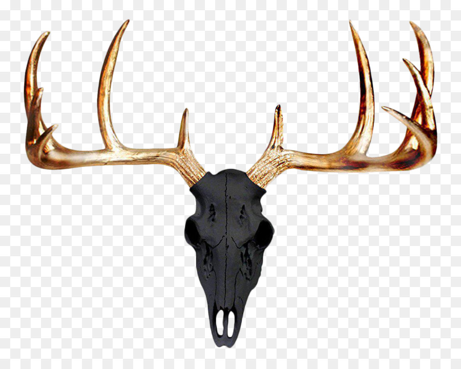 Mule deer Antler Wall Skull - deer png download - 1178*937 - Free Transparent Deer png Download.