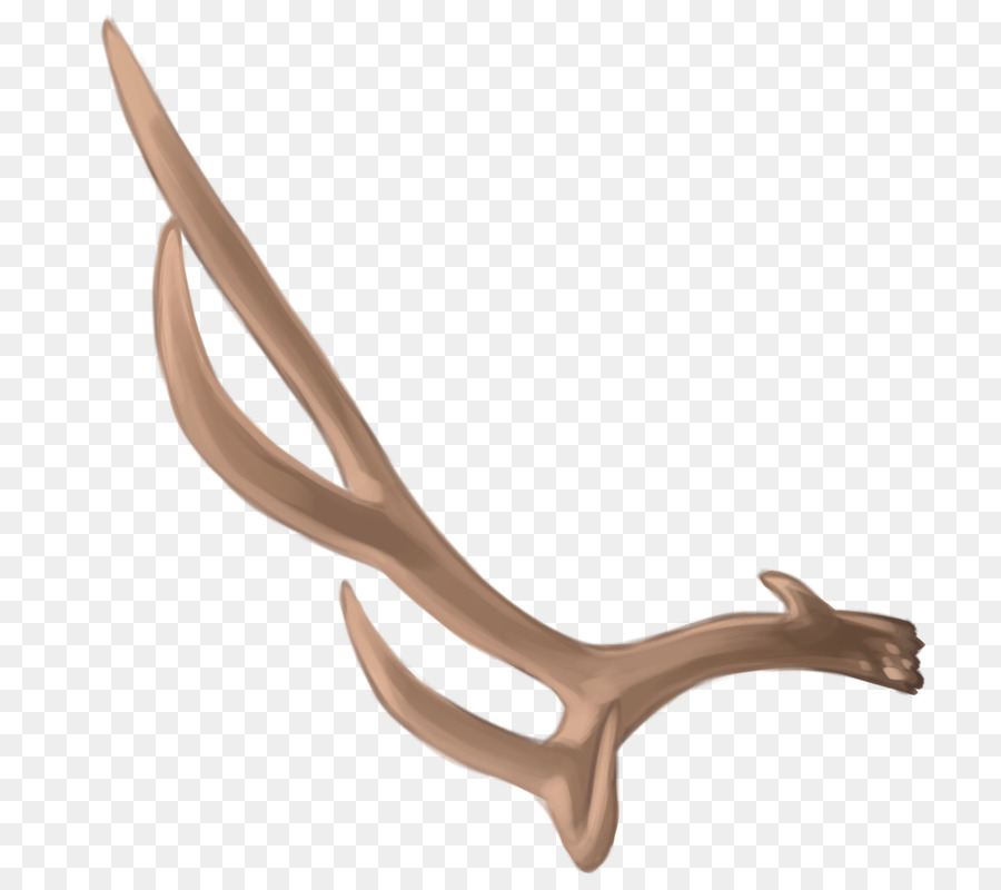 Deer Antler Material - deer png download - 800*800 - Free Transparent Deer png Download.