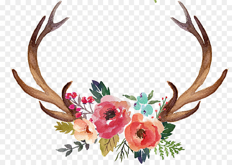 Deer Antler Flower Moose Clip art - Hand painted antlers png download - 1145*808 - Free Transparent Deer png Download.