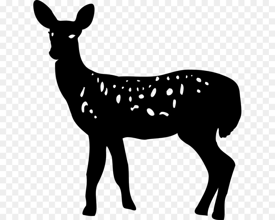 White-tailed deer Silhouette Clip art - deer png download - 681*720 - Free Transparent Deer png Download.