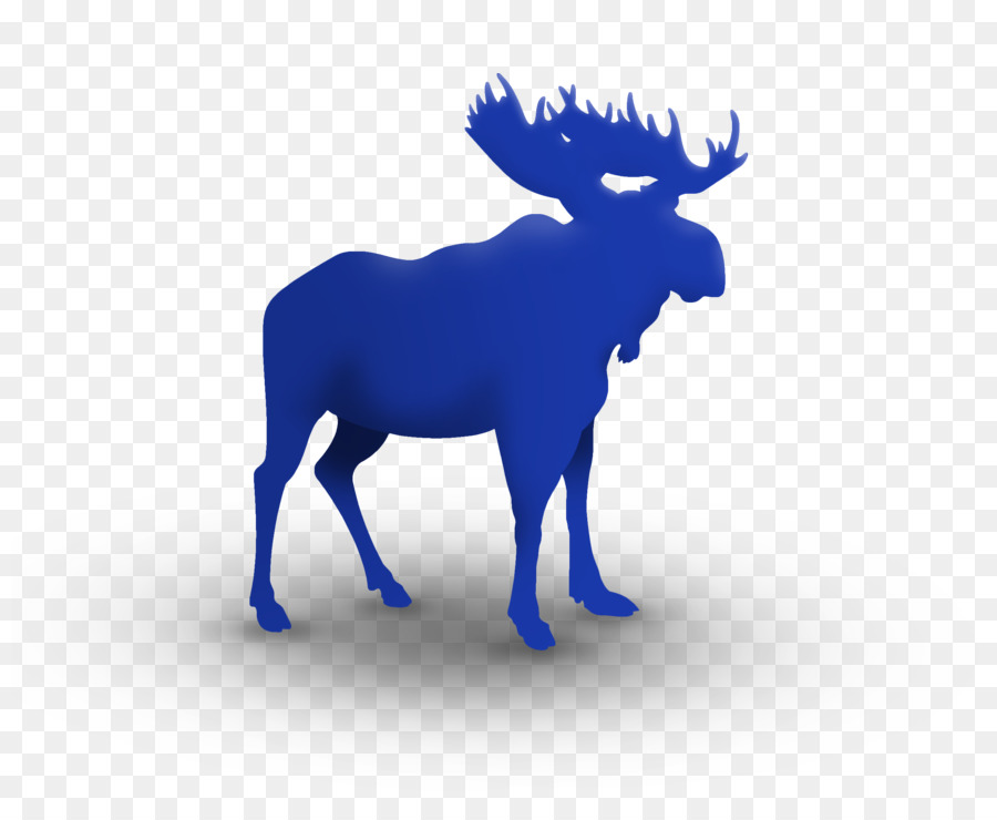 Moose on the Loose Family Fun Run & 5K Deer Birthday Clip art - MOOSE png download - 2400*1936 - Free Transparent Moose png Download.