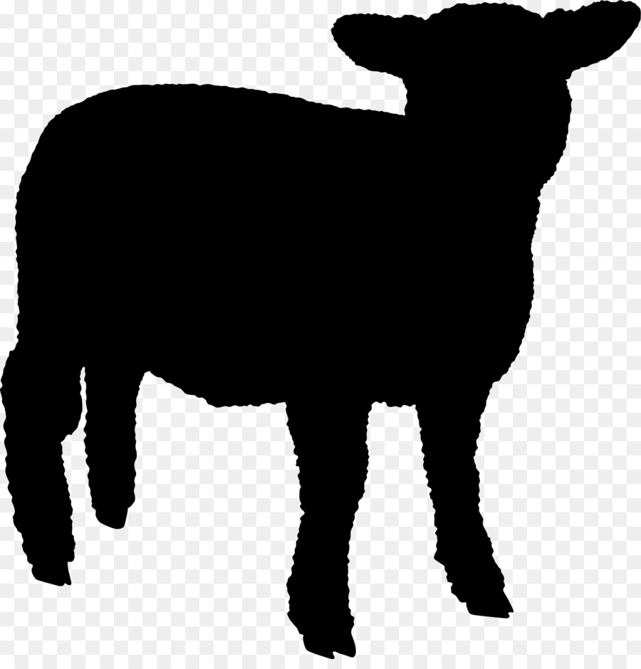Sheep Cattle Dog Goat Deer -  png download - 2642*2717 - Free Transparent Sheep png Download.