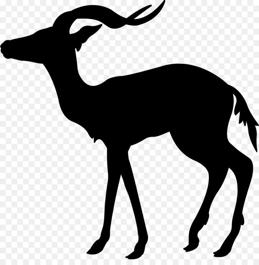 Deer GAZELLE M Clip art Fauna Silhouette -  png download - 1642*1646 - Free Transparent Deer png Download.