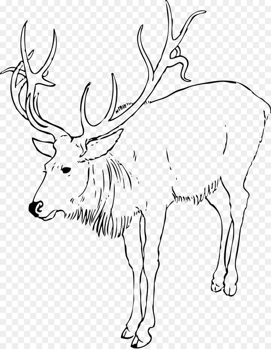 Reindeer Rudolph Moose Clip art - deer head png download - 1866*2400 - Free Transparent Reindeer png Download.
