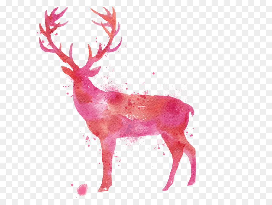 Deer Watercolor painting Drawing - Watercolor deer png download - 5000*3715 - Free Transparent Deer png Download.
