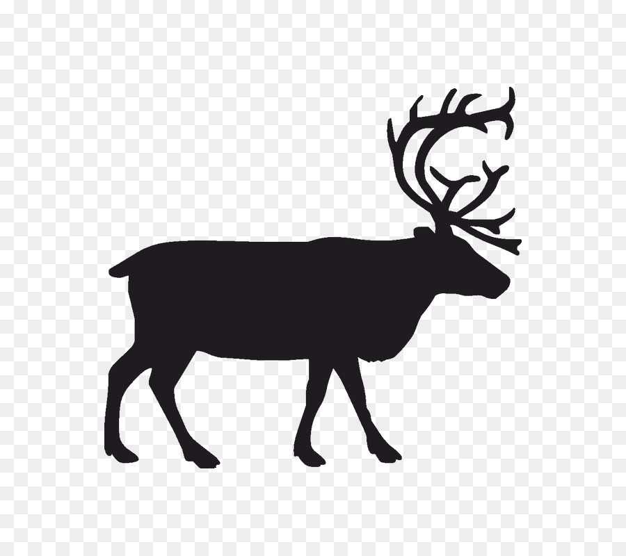 Deer Vector graphics Portable Network Graphics Clip art Image - deer png download - 800*800 - Free Transparent Deer png Download.
