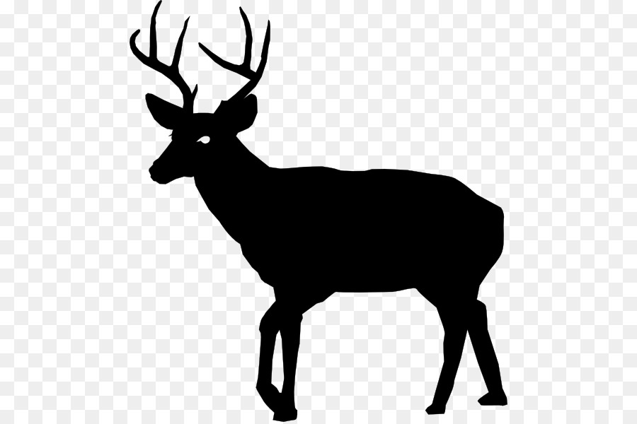 White-tailed deer Deer hunting Clip art - deer vector png download - 534*597 - Free Transparent Deer png Download.