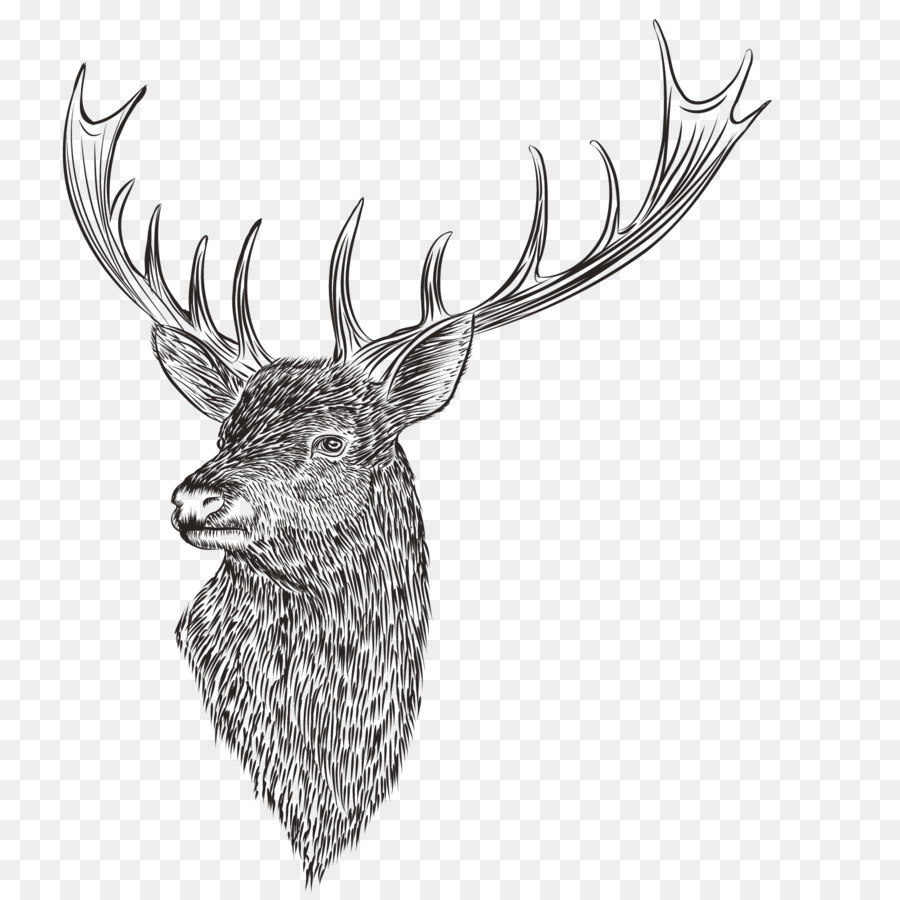 Reindeer Drawing - Vector reindeer head png download - 1600*1600 - Free Transparent Reindeer png Download.