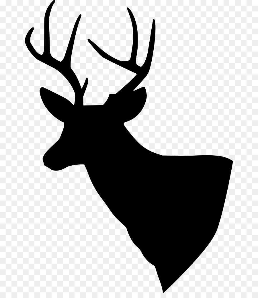 White-tailed deer Reindeer Clip art Vector graphics - elk drawing png head png download - 726*1024 - Free Transparent Deer png Download.