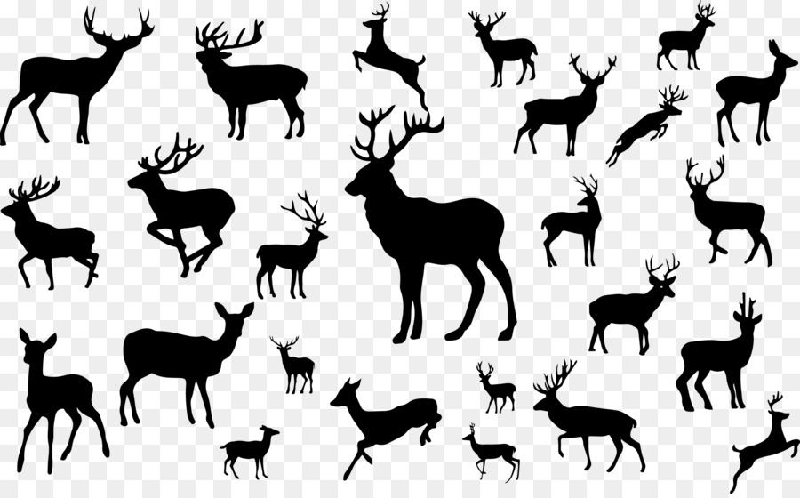 Reindeer Silhouette - Deer silhouettes png download - 2244*1387 - Free Transparent Deer png Download.