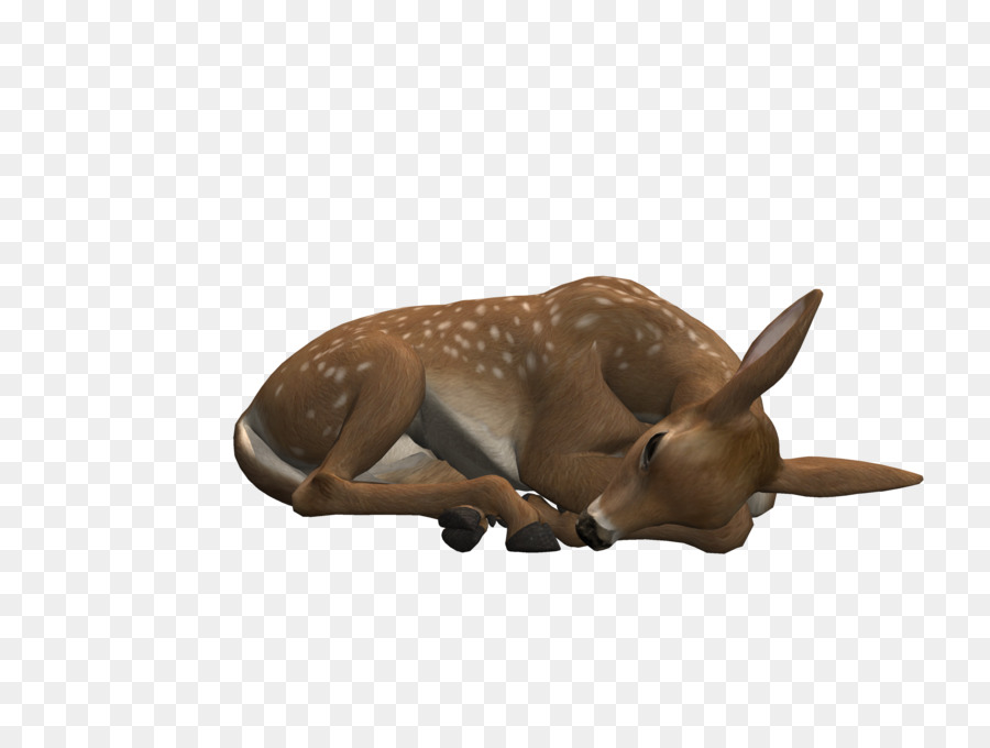 Deer Easter Animal Antler Woman with Horns - laying down png download - 4000*3000 - Free Transparent Deer png Download.