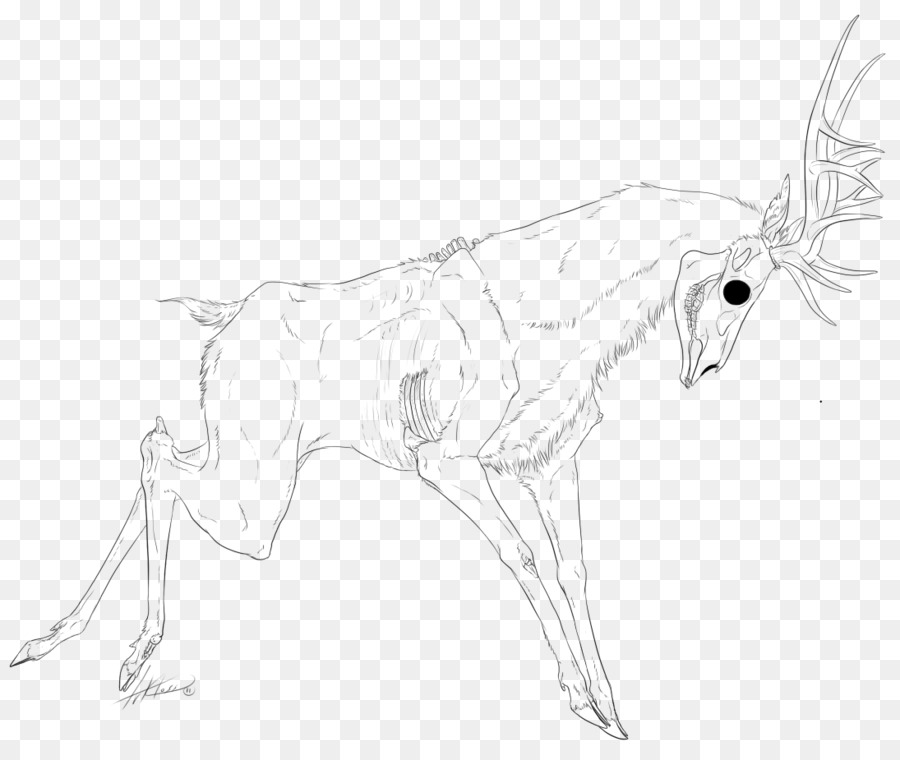 Canidae Hare Deer Drawing Sketch - nymph png download - 1095*914 - Free Transparent Canidae png Download.