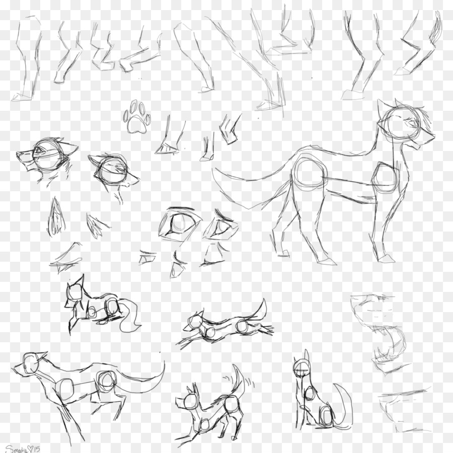 Drawing Carnivora Visual arts Sketch - dog laying down png download - 1024*1024 - Free Transparent  png Download.