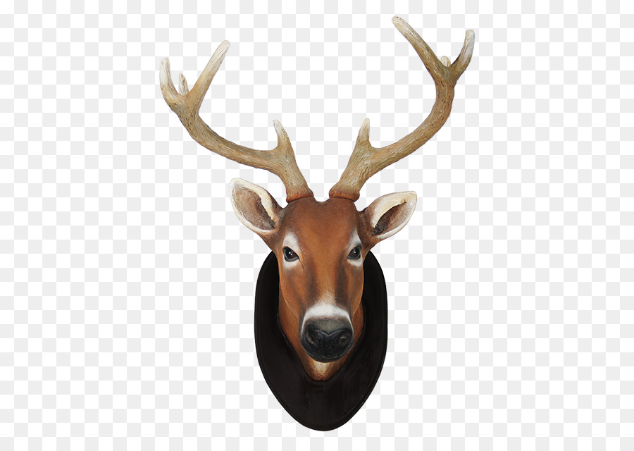 Reindeer White-tailed deer Elk Animal - deer head png download - 640*640 - Free Transparent Deer png Download.