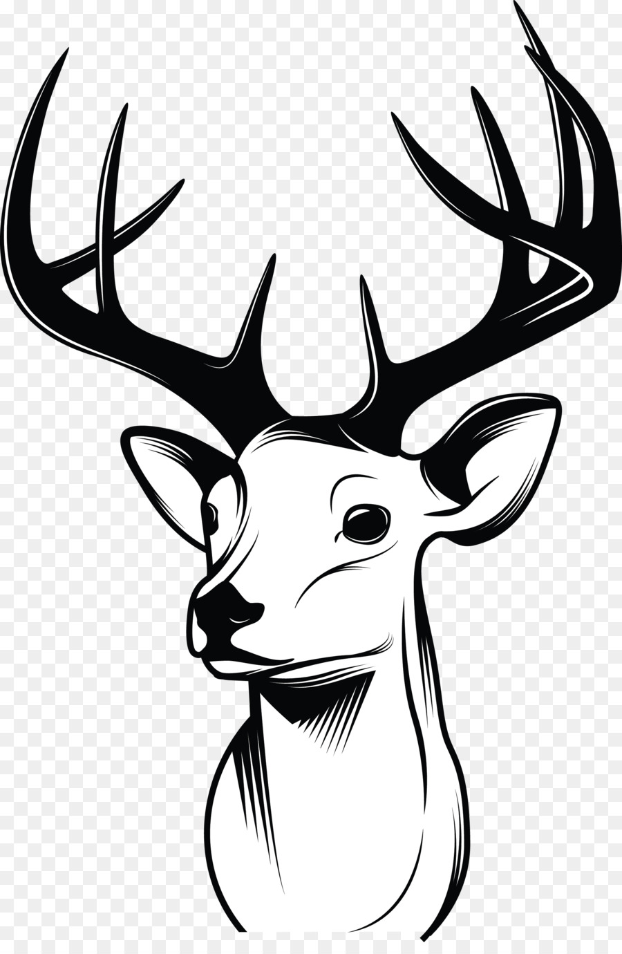 Deer Drawing Sketch - deer horns png download - 2091*3166 - Free Transparent Deer png Download.