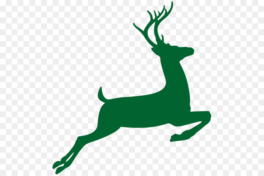 White-tailed deer Drawing Clip art - deer png download - 600*600 - Free Transparent Deer png Download.