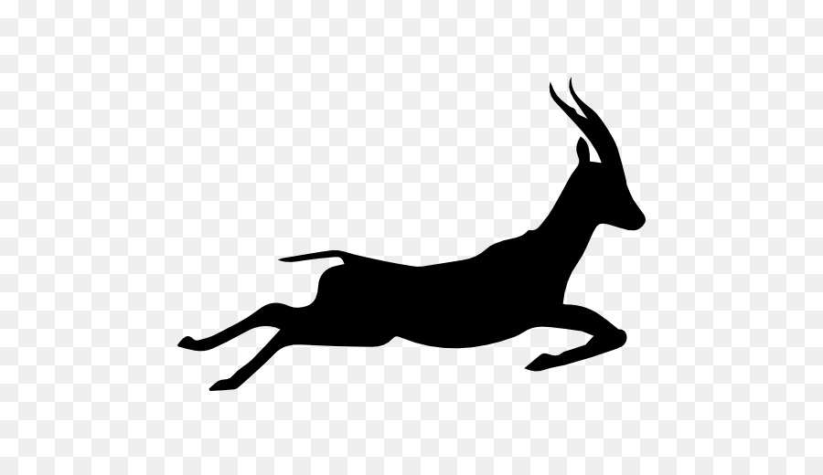 Gazelle Silhouette Running Icon - Gazelle PNG Image png download - 512*512 - Free Transparent Gazelle png Download.