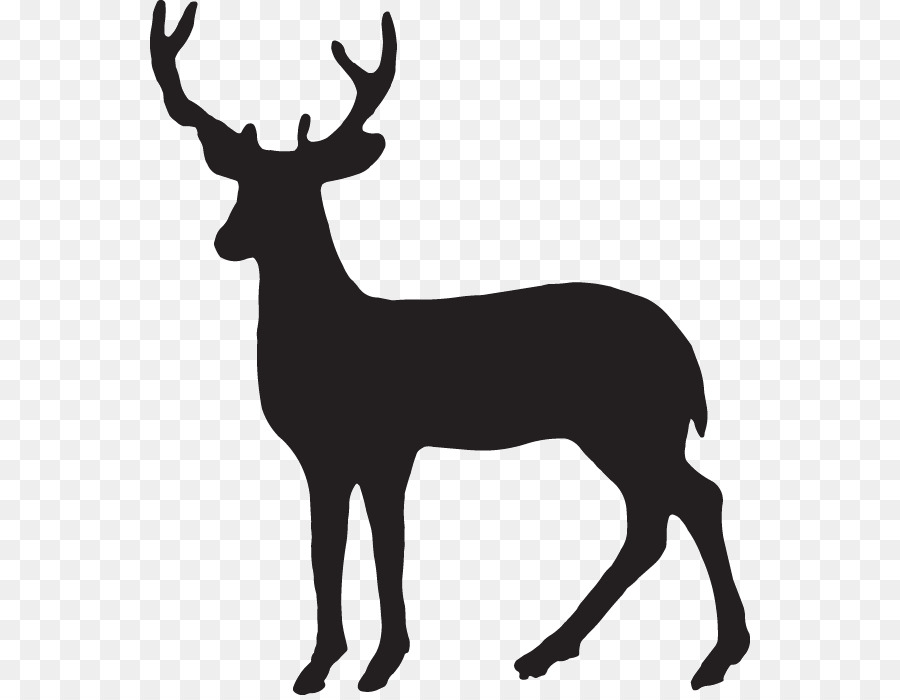 Deer Wall decal Sticker art - deer png download - 600*695 - Free Transparent Deer png Download.