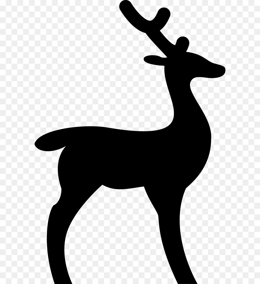 Reindeer Deer hunting White-tailed deer - Reindeer png download - 662*980 - Free Transparent Reindeer png Download.