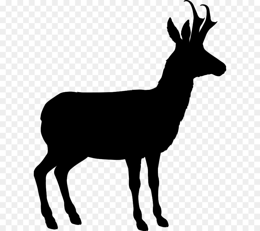 Sika deer Vector graphics Silhouette Gemsbok -  png download - 666*800 - Free Transparent Deer png Download.