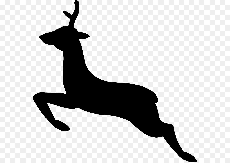 White-tailed deer Reindeer Moose Clip art - vector woods png download - 640*638 - Free Transparent Deer png Download.