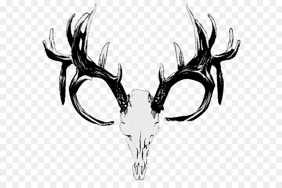 Red deer Hunting White-tailed deer Skull - deer skull png download - 647*583 - Free Transparent Red Deer png Download.