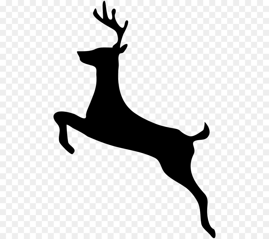 White-tailed deer Clip art - deer png download - 542*800 - Free Transparent Deer png Download.