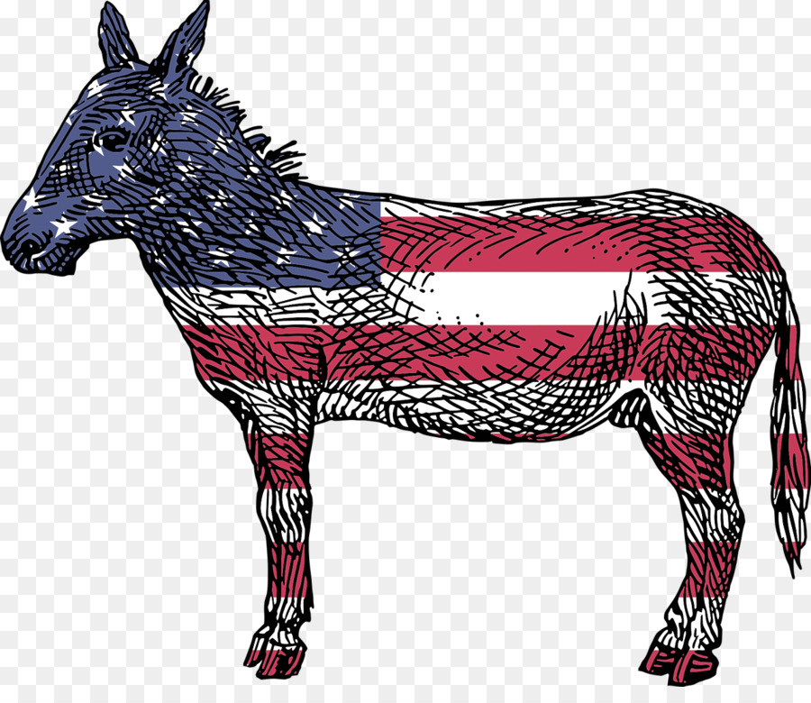 Reasons To Vote For Democrats: A Comprehensive Guide United States Amazon.com Democratic Party Book - donkey png download - 1280*1084 - Free Transparent United States png Download.