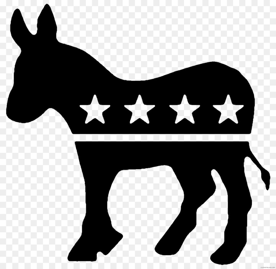 Donkey United States Democratic Party Political party Democratic-Republican Party - donkey png download - 2412*2358 - Free Transparent Donkey png Download.
