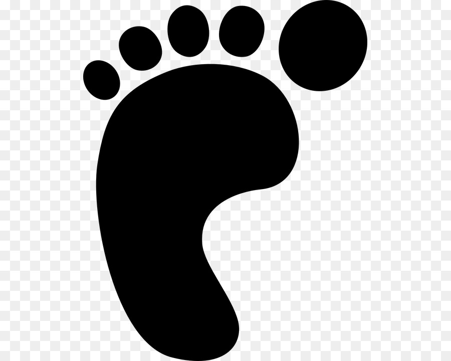 Dinosaur Footprints Reservation Clip art - footprint png download - 567*720 - Free Transparent Footprint png Download.