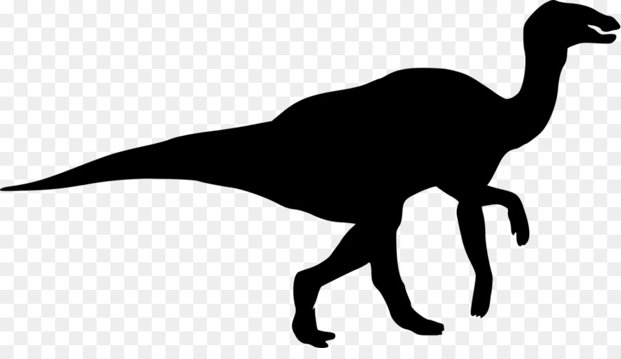 Tyrannosaurus Dinosaur size Silhouette Spinosaurus - dinosaur png download - 960*538 - Free Transparent Tyrannosaurus png Download.