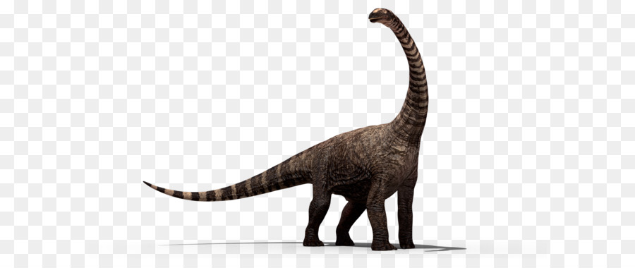 Dinosaur Stegosaurus - Dinosaur PNG png download - 1920*1080 - Free Transparent Tyrannosaurus png Download.
