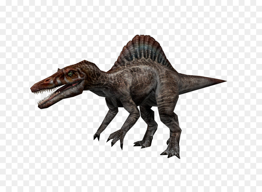Spinosaurus Tyrannosaurus Velociraptor Dinosaur - dinosaur png download - 750*650 - Free Transparent Spinosaurus png Download.