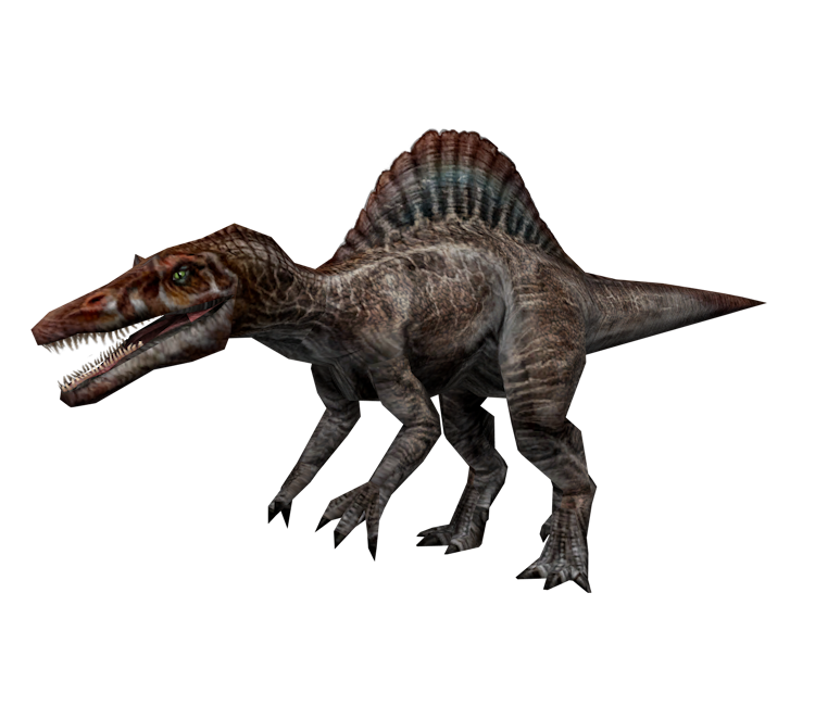 Spinosaurus Tyrannosaurus Velociraptor Dinosaur - dinosaur png download ...