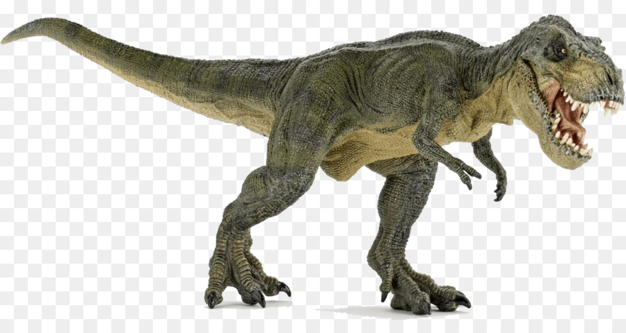 Tyrannosaurus Velociraptor Spinosaurus Triceratops Ceratosaurus - dinosaur png download - 1654*848 - Free Transparent Tyrannosaurus png Download.