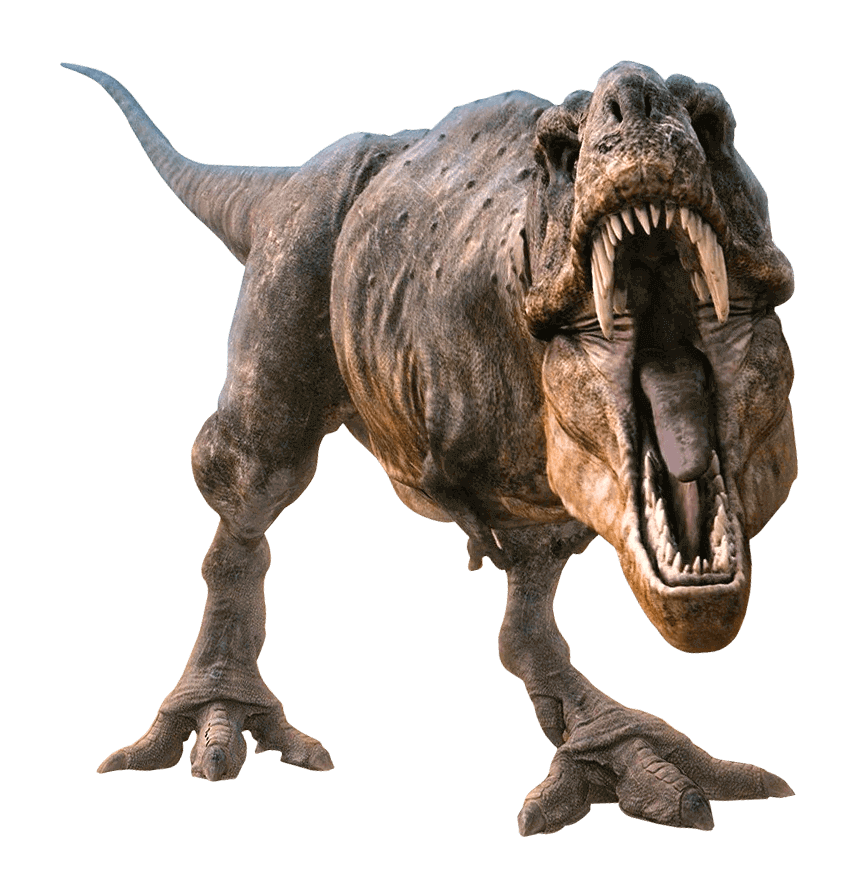 Tyrannosaurus Allosaurus Velociraptor Dinosaur Spinosaurus - dinosaur ...